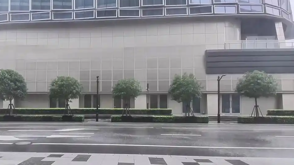 白海豚会重现杜苏芮强度吗热搜配图