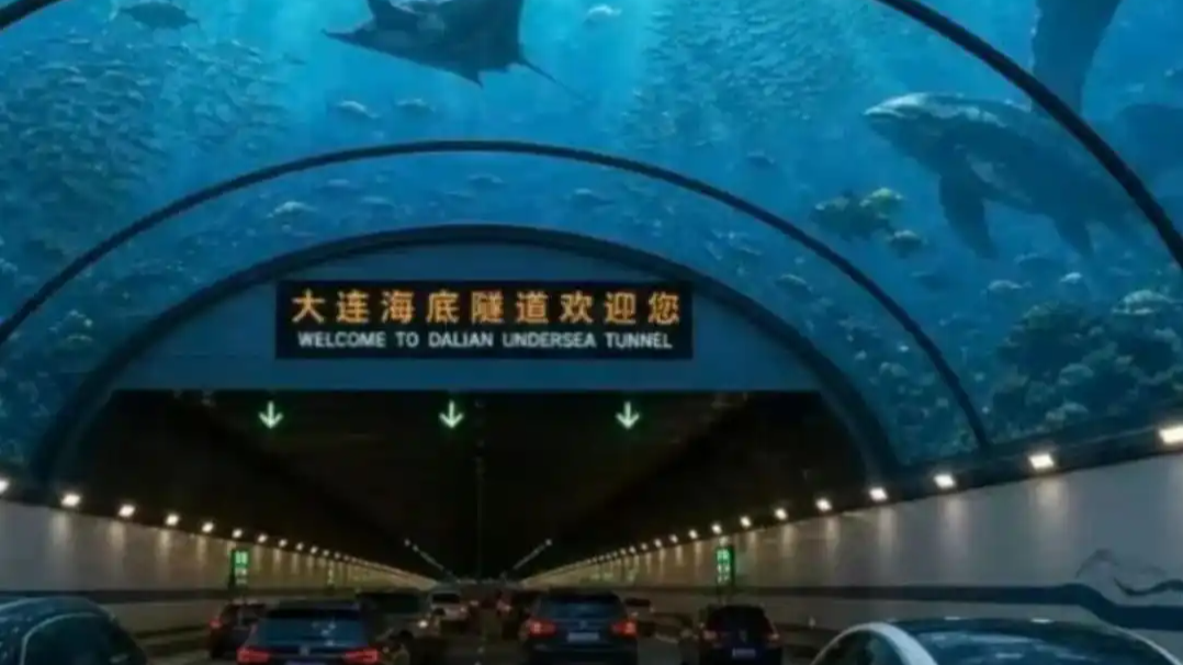 大连海底隧道看不到鱼热搜配图